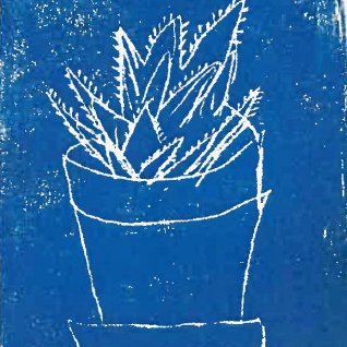 Flowerpot